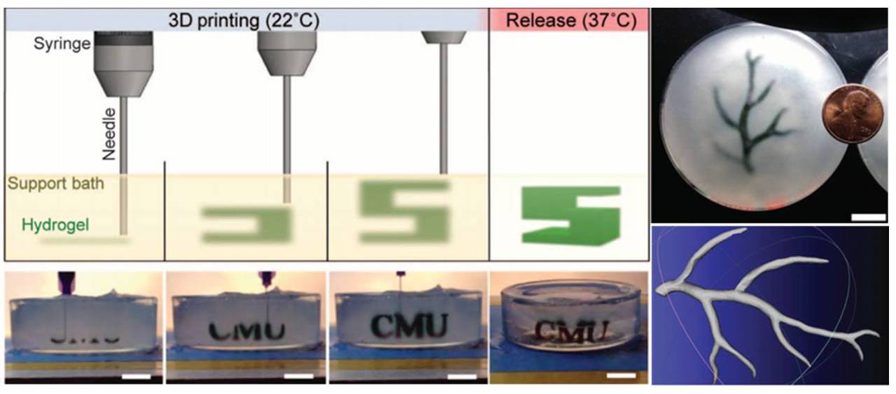 FRESH bioprinting process